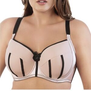 Parfait Charlotte Push up Bra Beige and Black Romantic 34D
